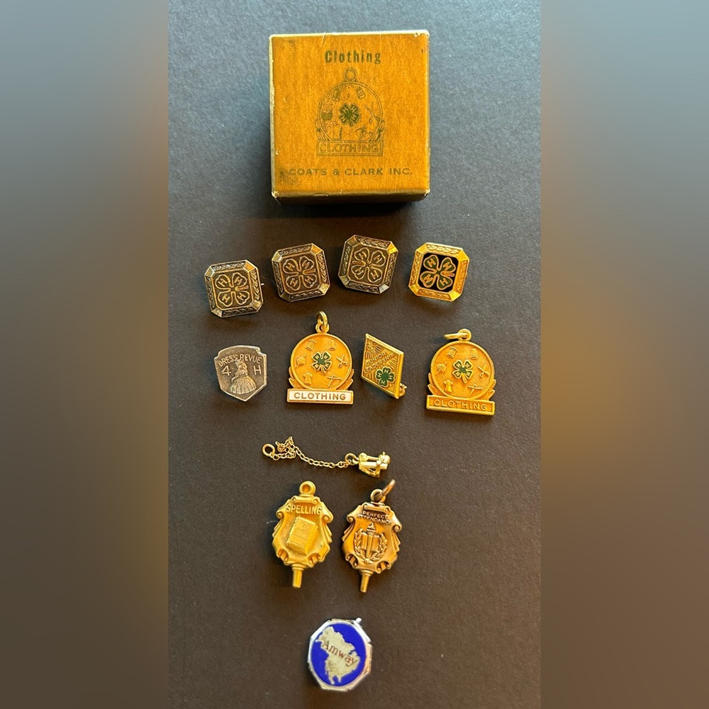 4H, academic pins- vintage. 4H pin Box - Picture 2 of 9